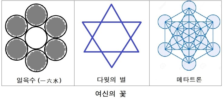 도리화 이미지