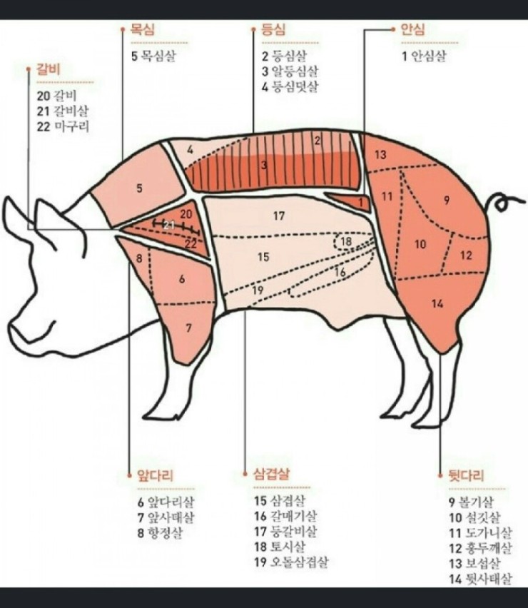 돼지세끼 이미지