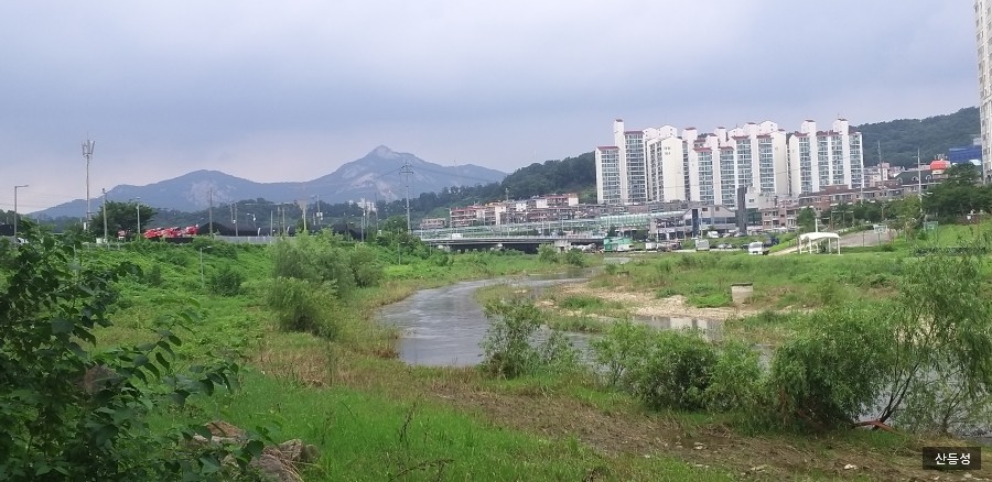 사노리안말 이미지