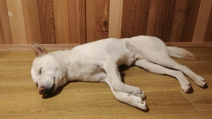살롱;쉼 이미지