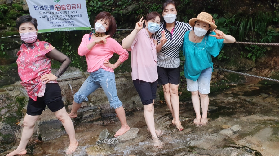 약초명가 이미지