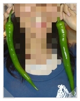 제일고추상회 이미지
