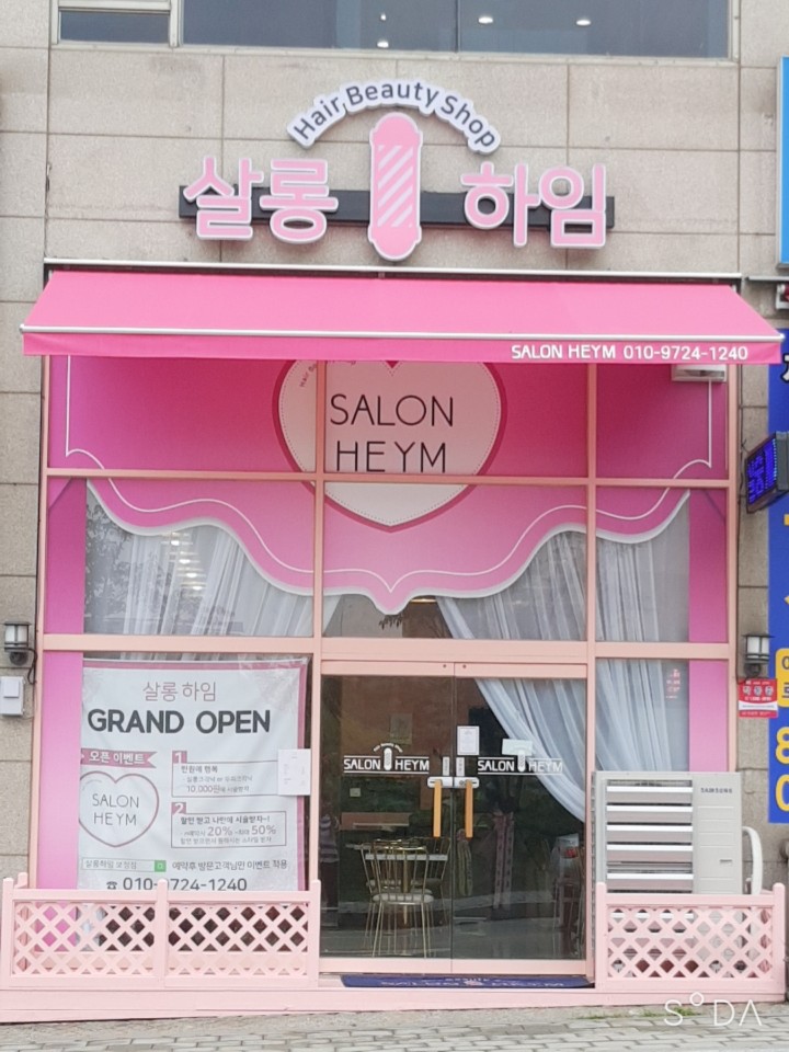 하임 염색 이미지