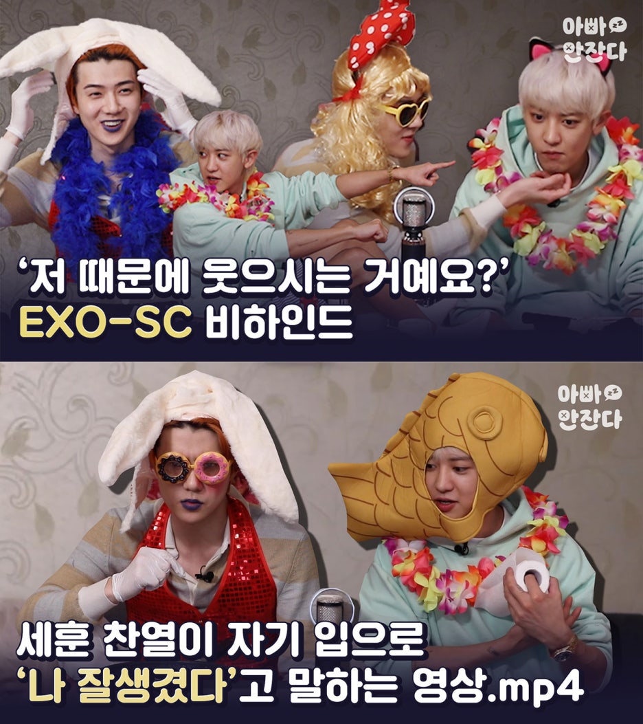 피키픽쳐스 이미지