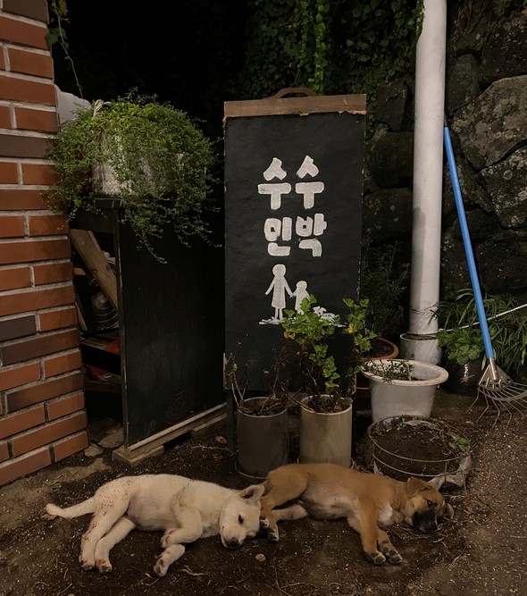 수월봉민박 이미지