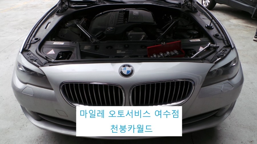 월드DSC 이미지