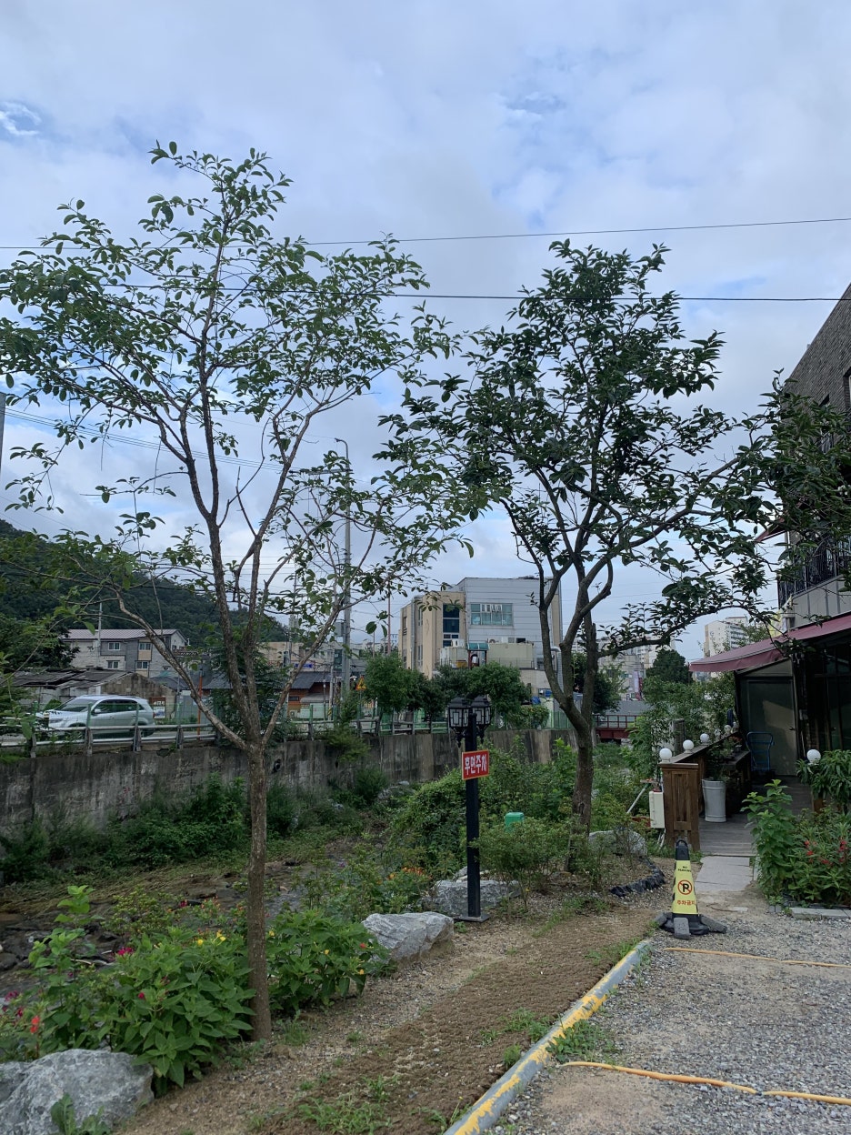 두부고을 이미지