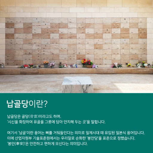 [장례] 화장 후 유골 처리 방법 산골장 자연 수목장 : 네이버 블로그