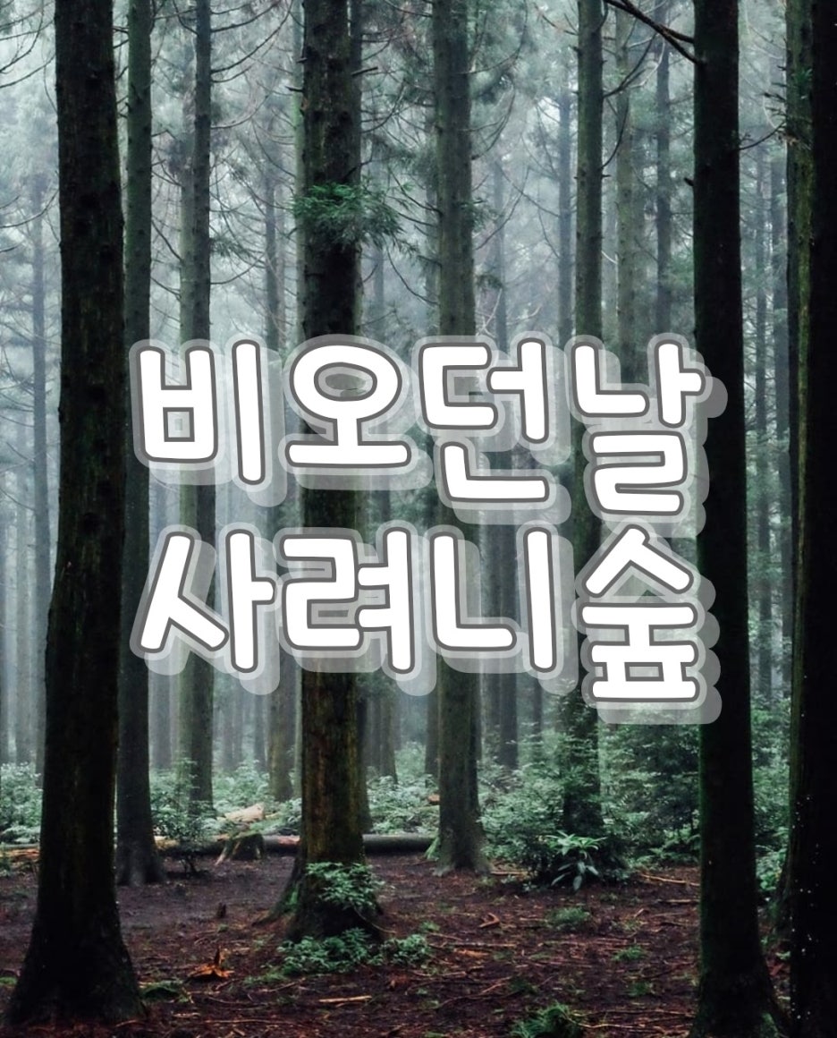 사려니숲 이미지