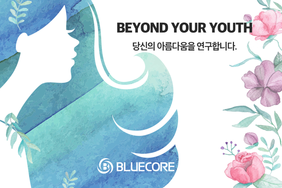 대경컴퍼니 이미지