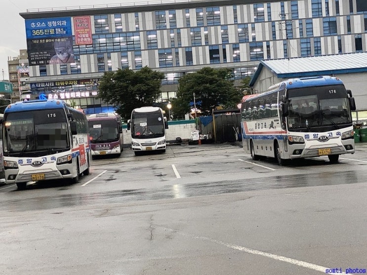 대원슈퍼앞 이미지