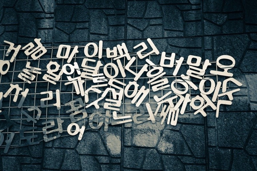 한국루이보스 이미지