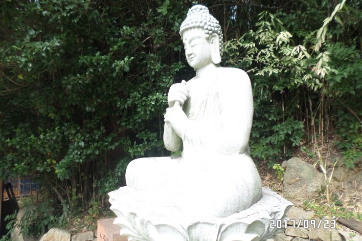 최*규 이미지