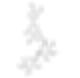 [산쑥 표준물질][Flavonoids] Luteolin 7-rutinoside [CFN93556][Cas No. 20633-84 ...