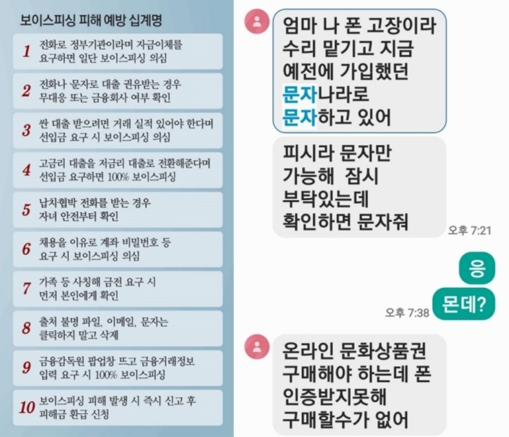 세종피싱 이미지