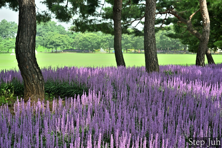 배관청사람들 이미지