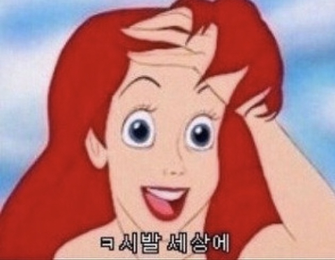 더포비 이미지