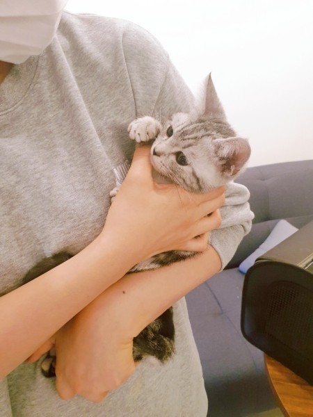 행복한헤어 이미지