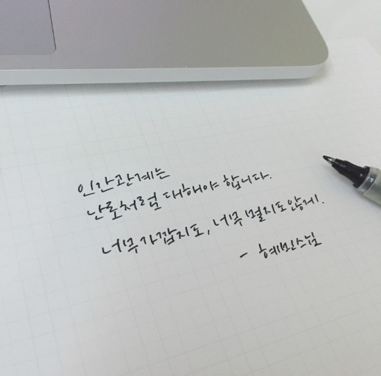 사이유지 이미지
