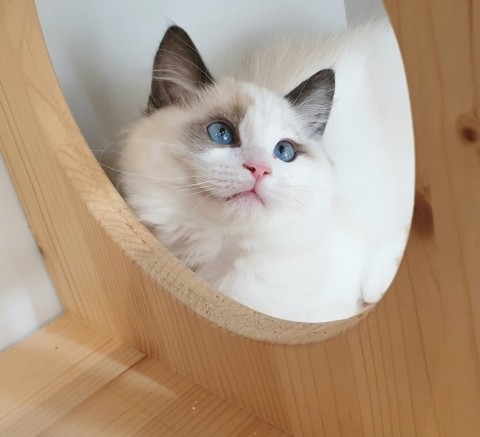 더리터남양주 이미지