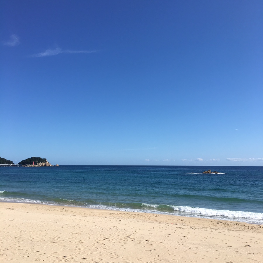 바다랑분식 이미지