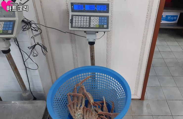 털보대게 이미지