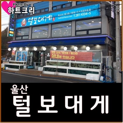 털보대게 이미지
