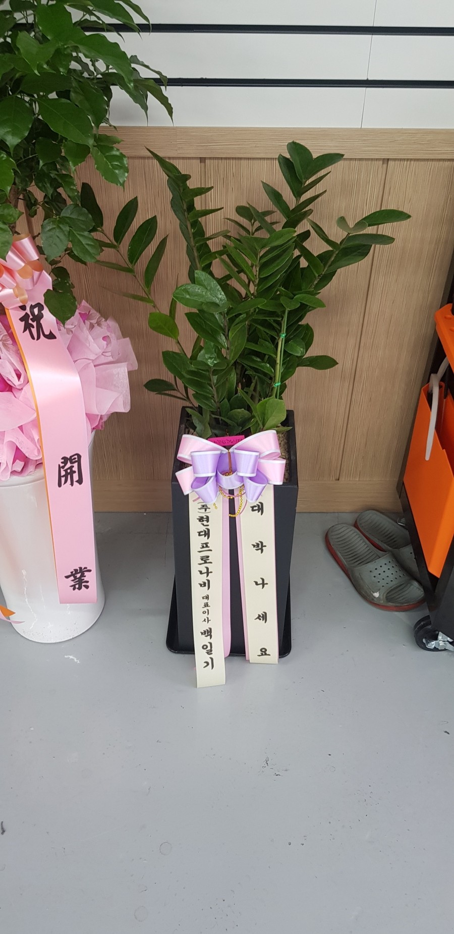 바이널랩 이미지