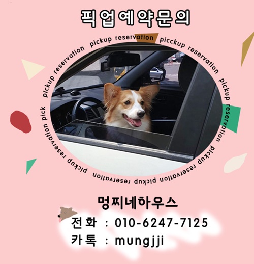 아리유치원 이미지