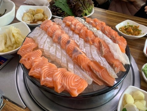 연어광어 이미지