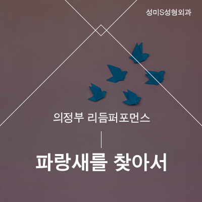 성미에스성형외과 이미지