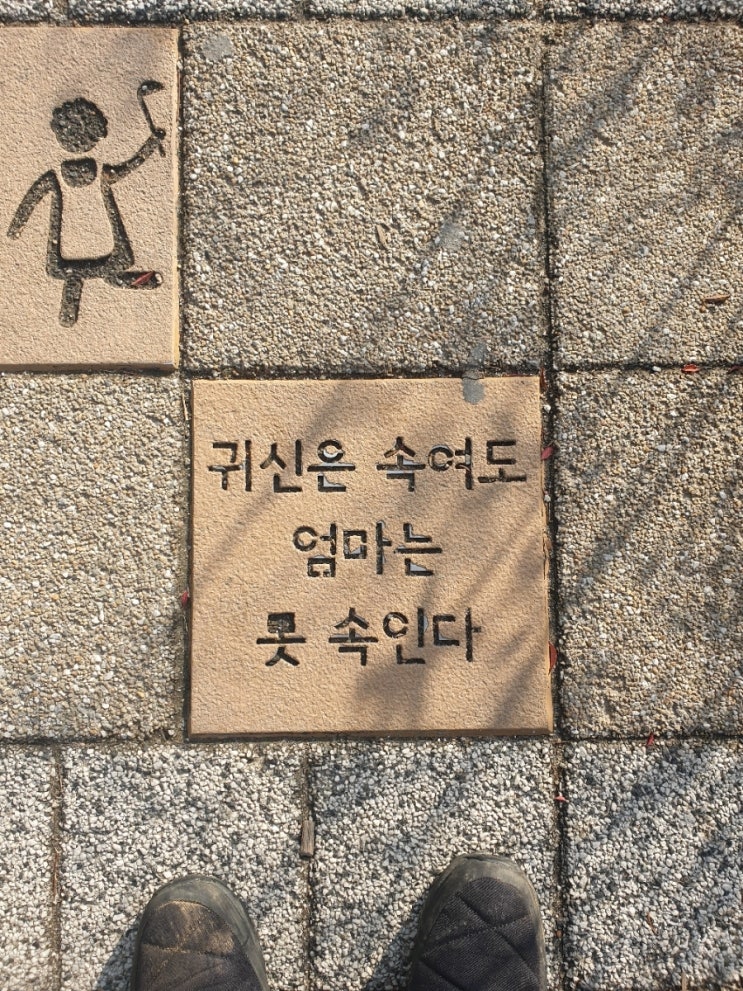 새마을전집 이미지