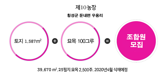 황금농장 이미지