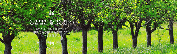 황금인력 이미지