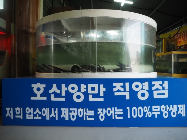 풍천민물장어무한리필 이미지