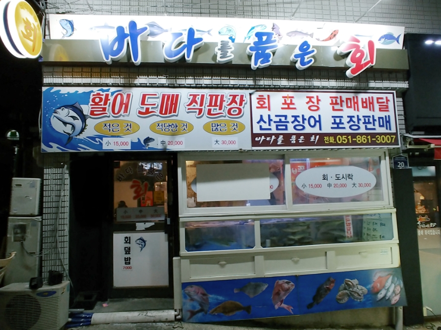 싱싱코리아 이미지