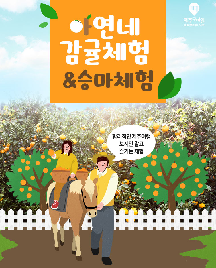 아연네감귤체험농장 이미지