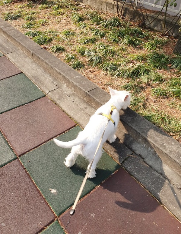 태평에너지 이미지