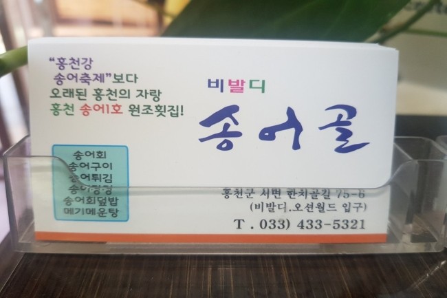 비발디송어골 이미지