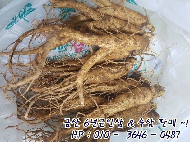 금산수삼시장(주) 이미지