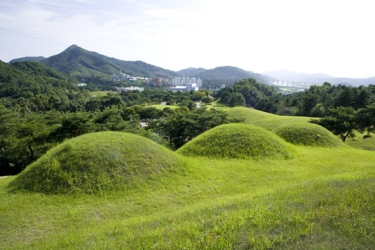 대한더라이프 이미지