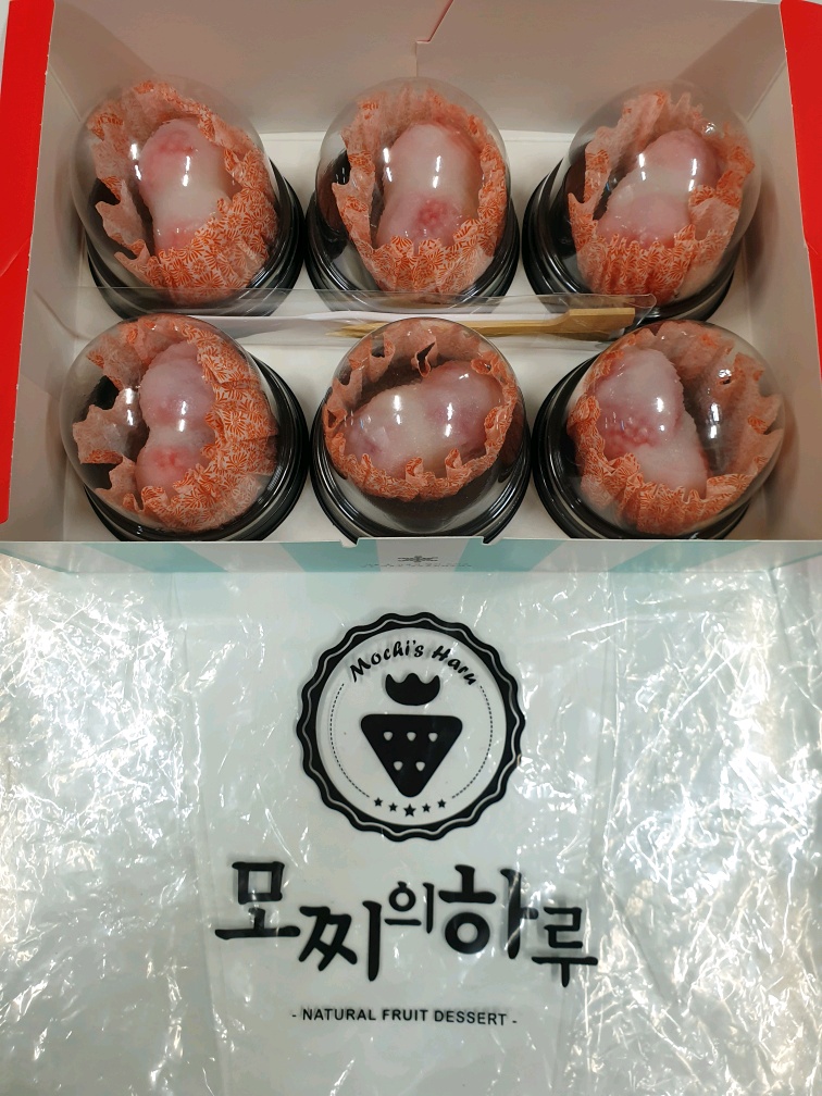 박0환 이미지