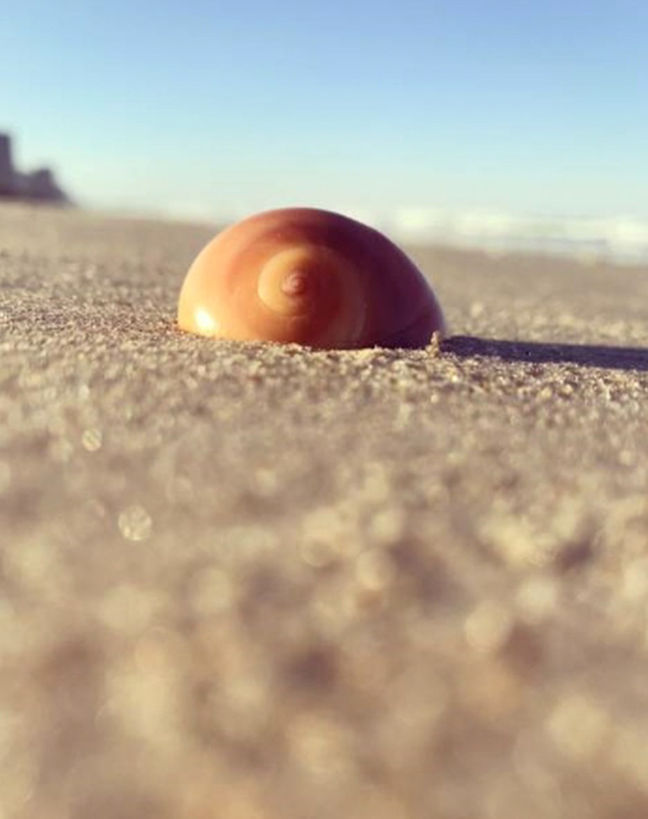 캐릭터 스크램블 시즌 VIII 라운드 1A: 빅 타임 : r/whowouldwin, image size:936x1182