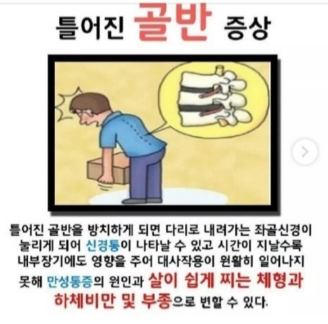 오시날개 이미지