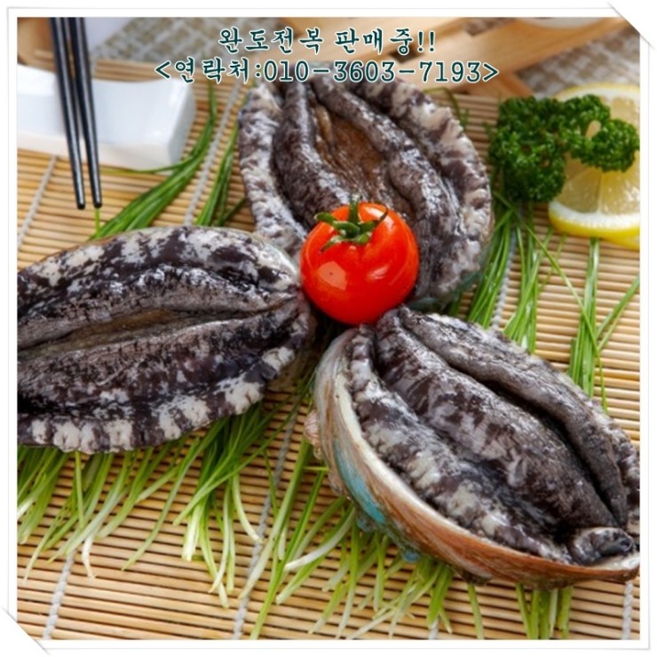 완도참전복 이미지