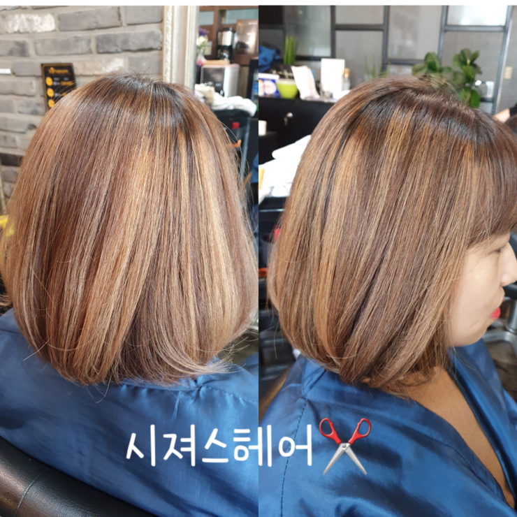 시져스헤어 이미지