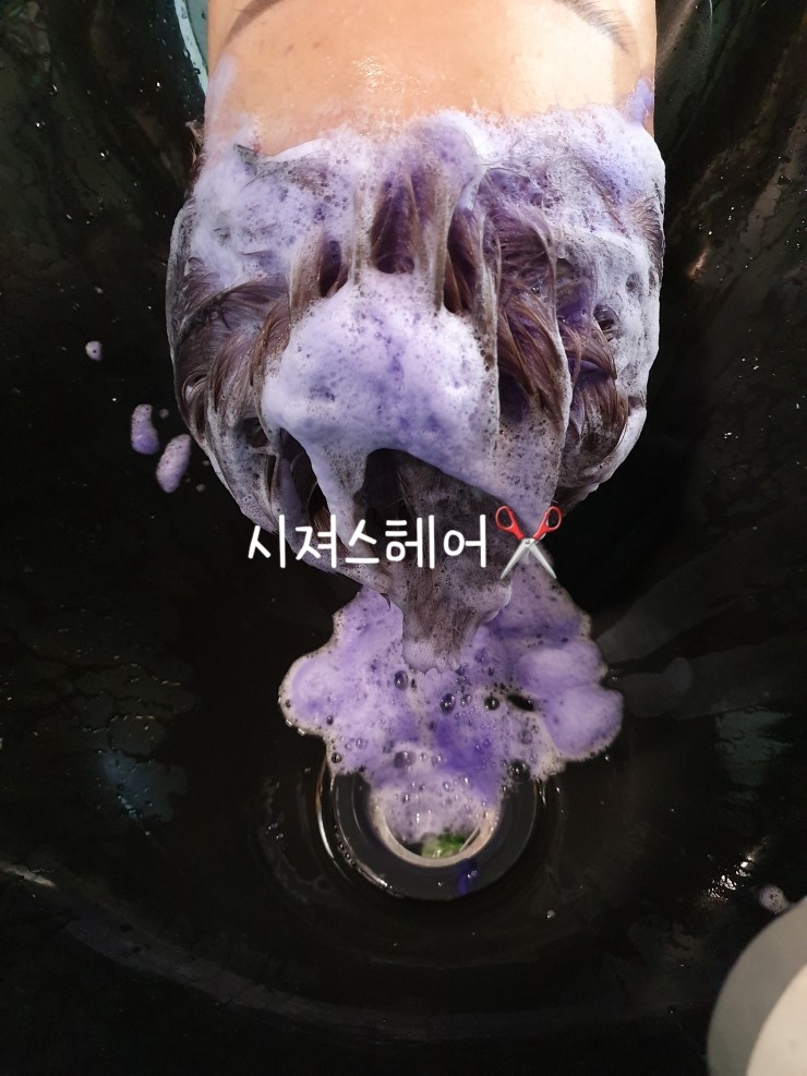시져스헤어 이미지