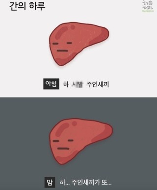 고기는사랑이지 이미지