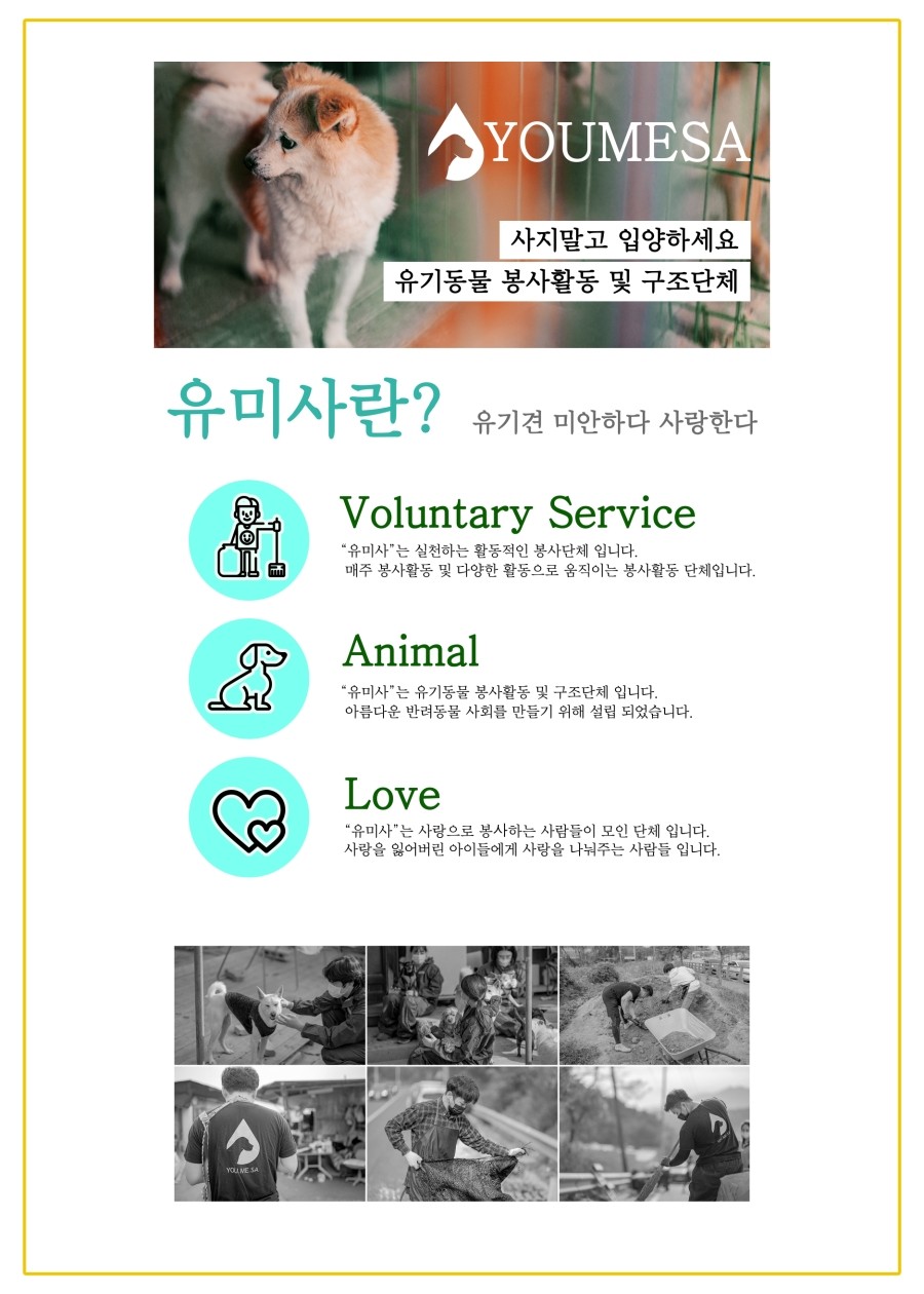 유미사 이미지