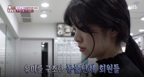 유미사 이미지